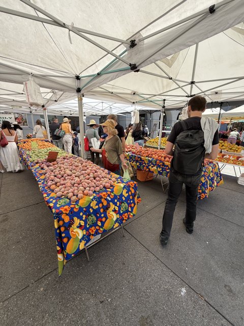 Vibrant Scenes at the San Francisco Farmer's Market