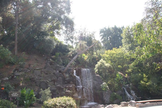 Majestic Waterfall in the Heart of the Park