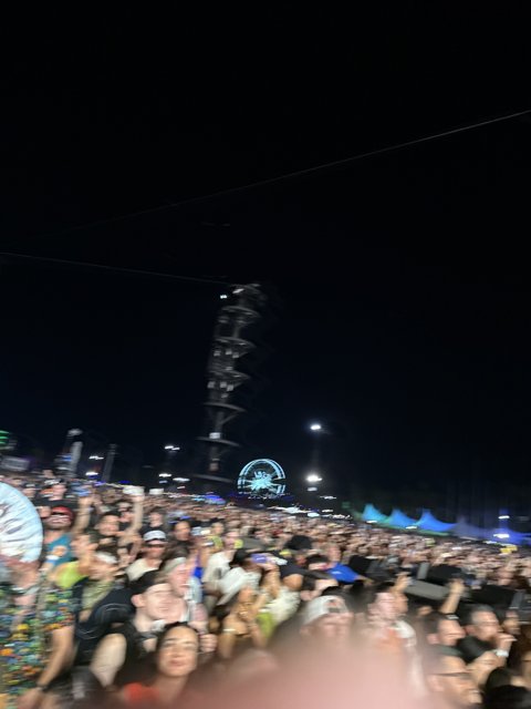 Night of Lights and Music