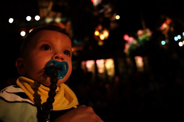Little Wesley's Disneyland Adventure