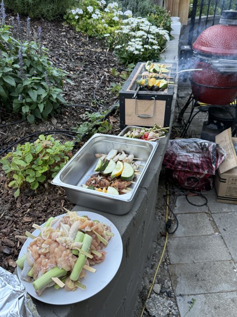 Backyard BBQ Bliss