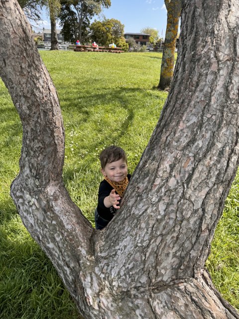 Hide and Seek in the Park