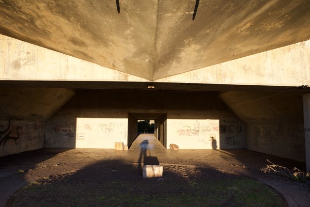 Tunnel of Graffiti