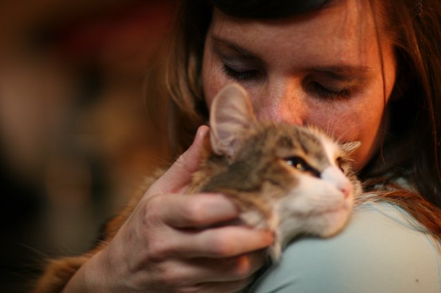Tender Moment: Woman Nuzzles Fluffy Kitten Close