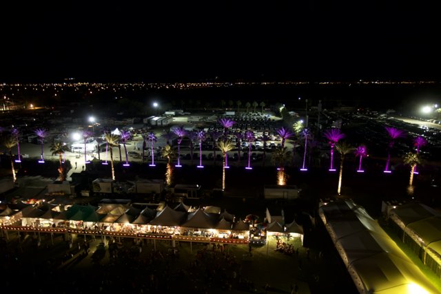Lights and Nightlife at Coachella Festival