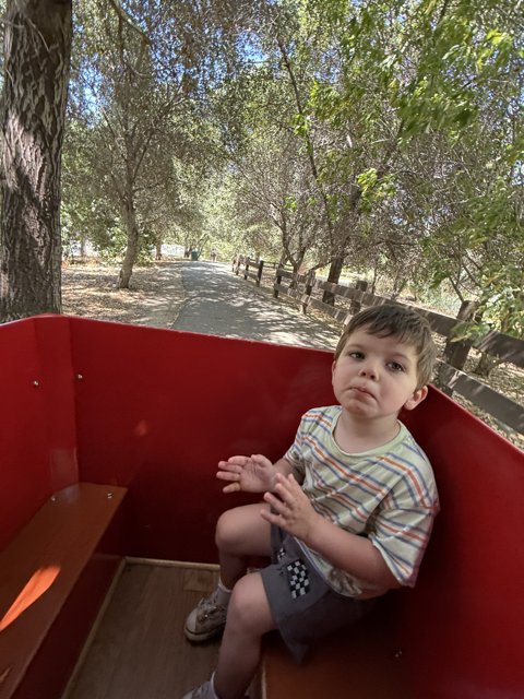A Moment in the Grove