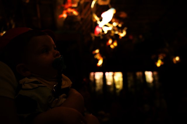 A Magical Night at Disneyland with Baby Wes
