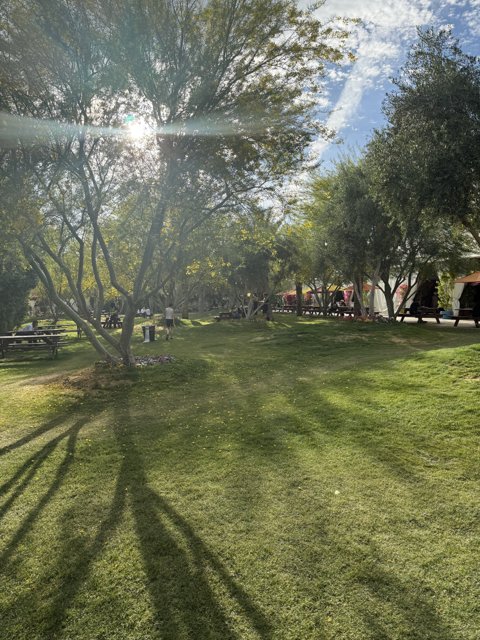 Sunlit Serenity at Empire Polo Club