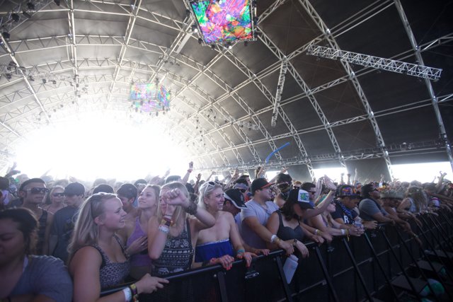A Sea Of Excitement: Coachella Music Festival