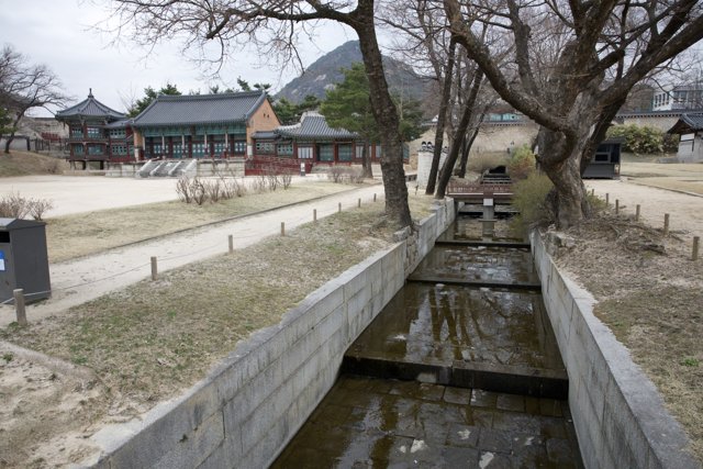 Tranquil Escape in Korean Park, 2024