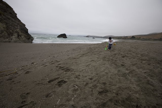 Child Explores Dramatic Pacific Coast Beach Alone