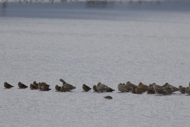 Tranquil Gathering at San Pablo Bay