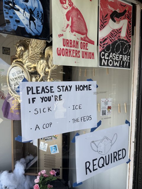 Quirky Window Displays in Emeryville