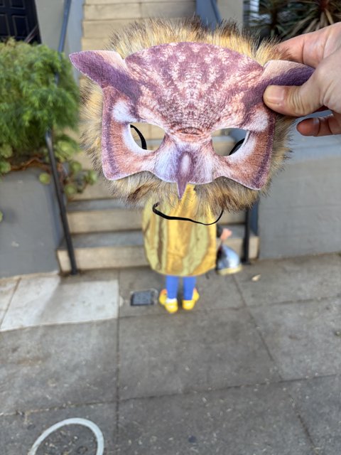 Masked Wonder