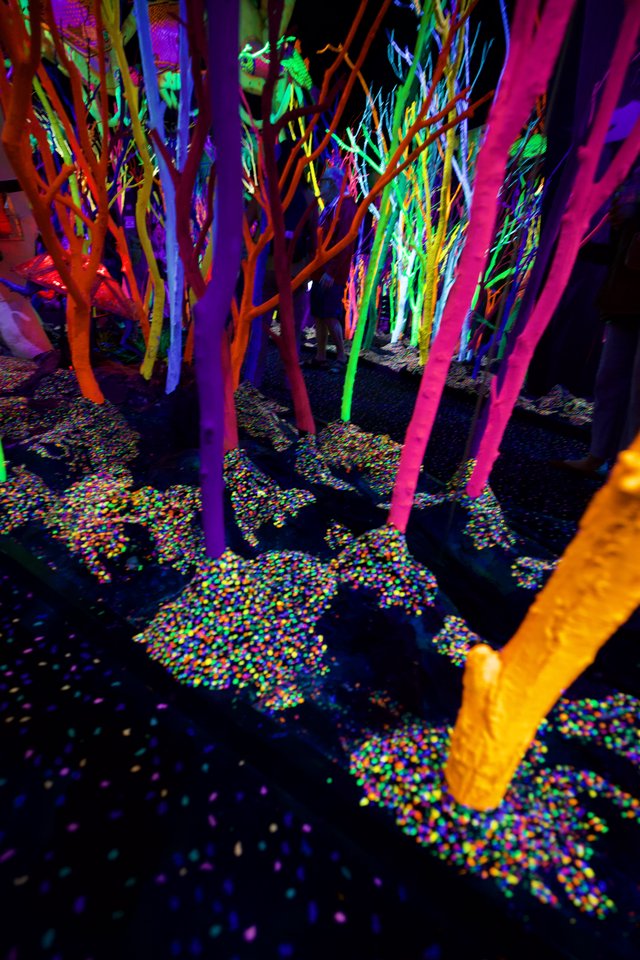 Neon Forest Installation with Colorful Confetti Floor