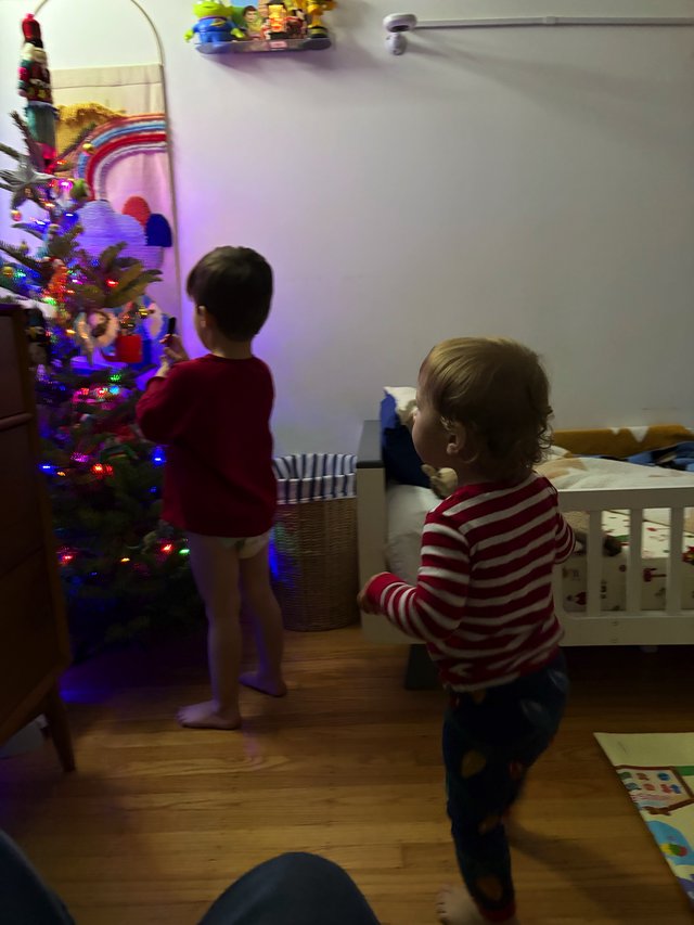 Children Decorating Christmas Tree in Evening Light