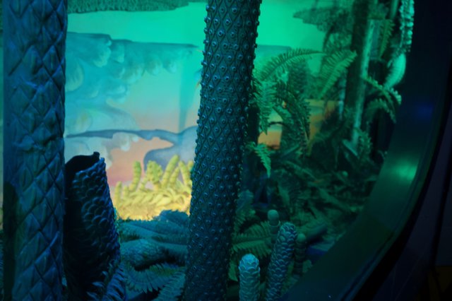 Otherworldly Forest Scene Through Textured Glass Portal