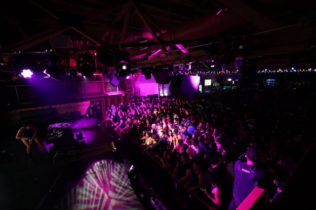 Massive Crowd Ignites Under Purple Lights at Wobbleland
