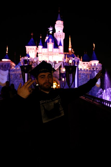 Magical Night at Disneyland Castle