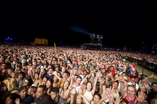 Coachella 2016 Concert Crowd