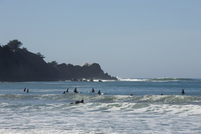 Pacifica Surfers in Harmony with the Sea, 2023