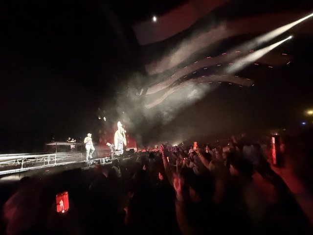 Electrifying Night