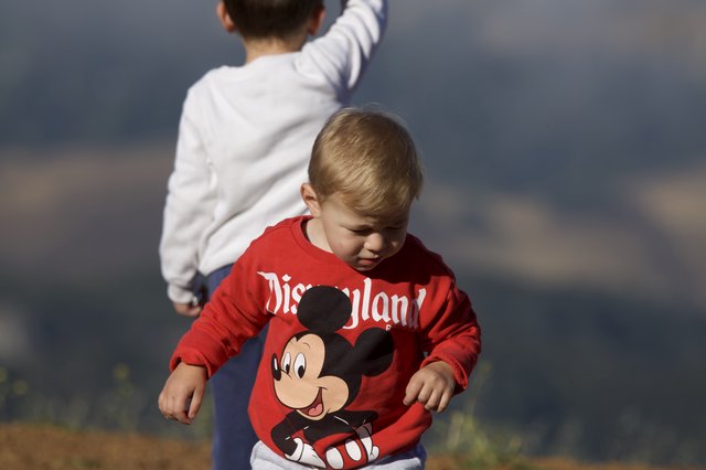 Toddler in Disneyland Sweatshirt Explores Mount Diablo