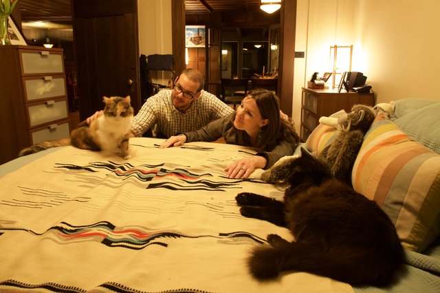 Couple and Their Cats Relaxing on a Cozy Bed