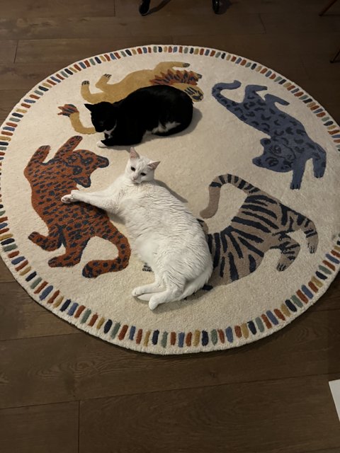 Feline and Canine Companions on a Cozy Rug