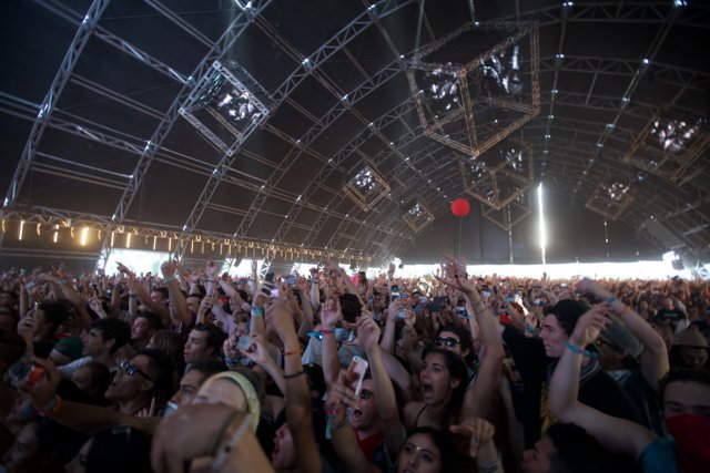 Coachella 2016 Concertgoers Raise the Roof