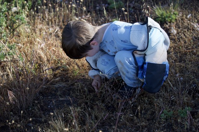 Young Explorer Discovers Nature's Tiny Wonders