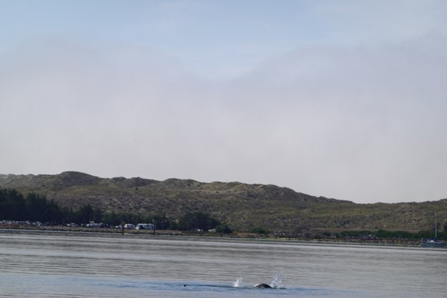 Stunning Scenery: Whale Sighting at Promontory