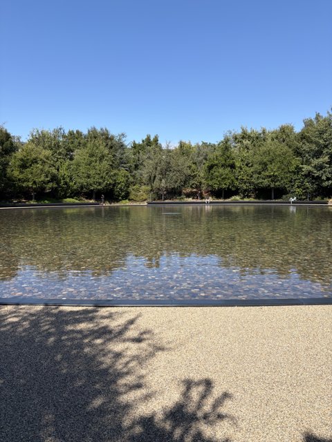 Tranquility at Apple Park