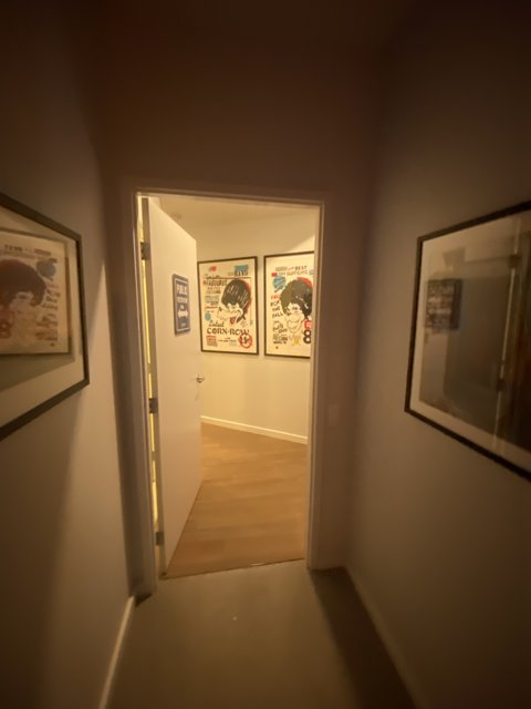Hallway of Art and Flooring