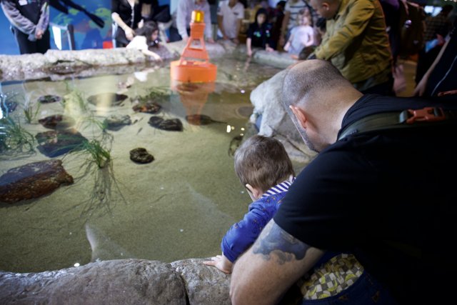 Curiosity Underwater: Man with Child at The Aquarium