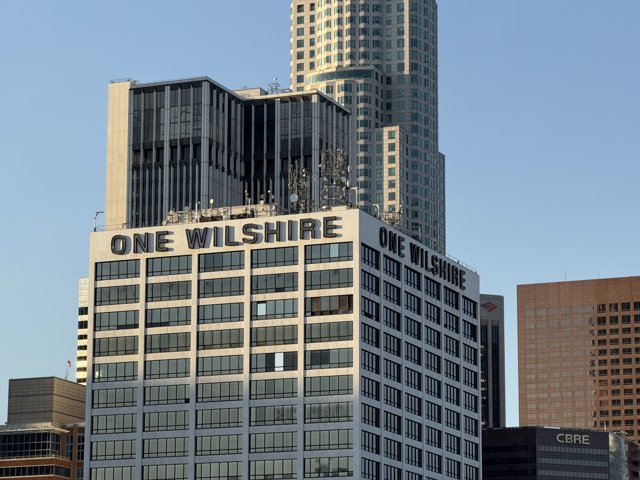 Urban Majesty in Los Angeles