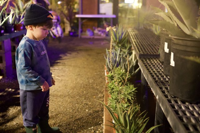 Curiosity in the Desert Garden