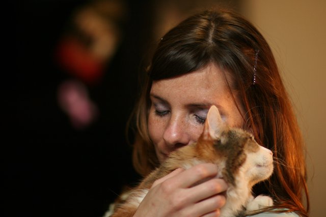 Tender Moment: Woman Nuzzles Calico Kitten Lovingly