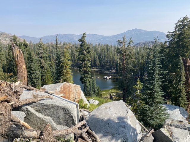 Serene Lake and Majestic Trees in Desolation Wilderness