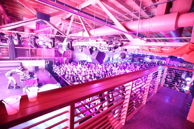 Massive Crowd Packed Under Pink Lights at Wobbleland