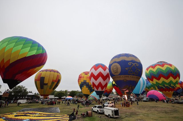 Colorful Hot Air Balloons Fill the Morning Sky