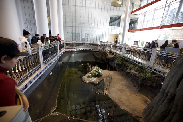 Indoor Museum Exhibit with Circular Pool and Rock Formation