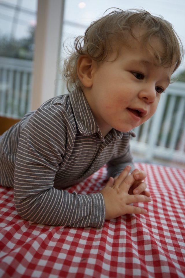 Curious Toddler at Red Checkered Table