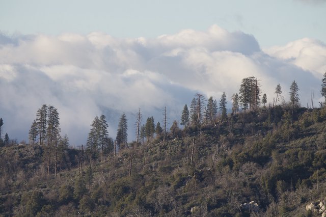Smoke Rising Over Mountain Forest After Wildfire