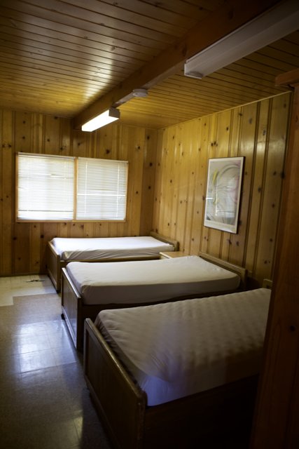 Three Beds in a Cozy Wooden Room