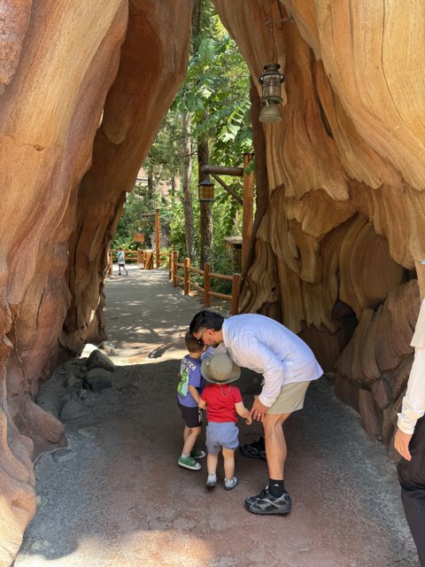 Exploring Enchanted Pathways