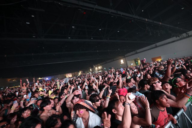 Massive Crowd Surges at Wobbleland 2026 Festival