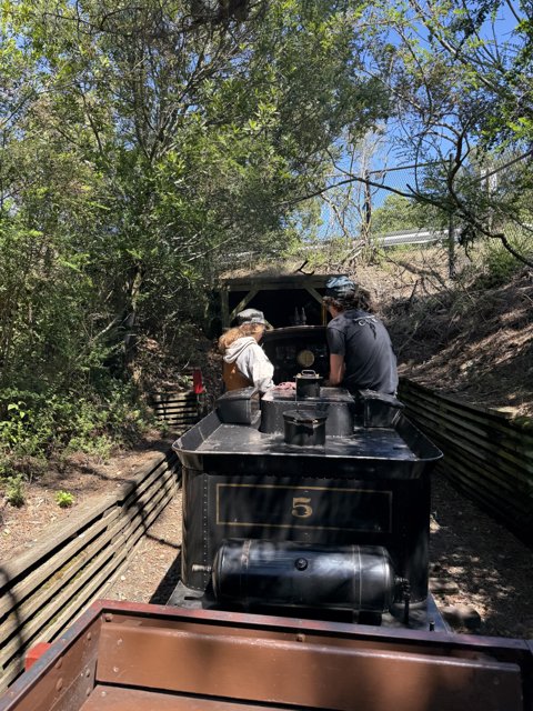 Journey Through the Woodland Railway