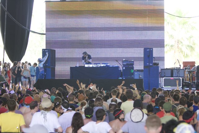 The Excitement of the Crowd at Coachella 2008
