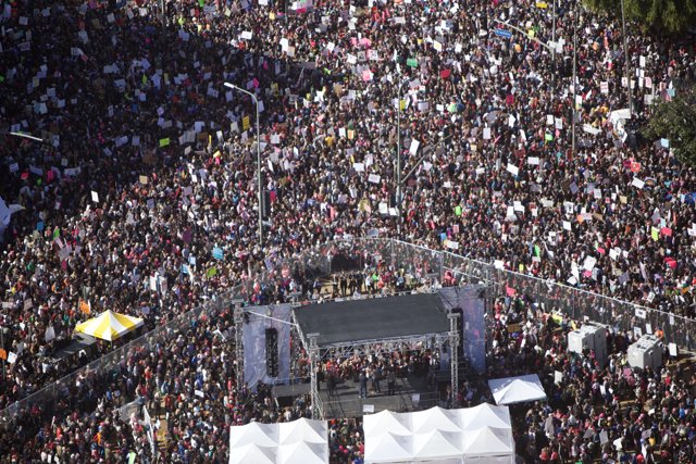 Massive Crowd at Pre-Coachella 2017 Women's March